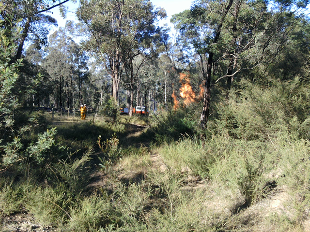 Pile Burns at Frank's 2010